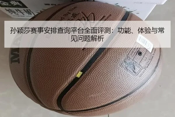 sun-ying-sha-sai-shi-an-pai-cha-xun-ping-tai-quan-mian-ping-ce-gong-neng-ti-yan-yu-chang-jian-wen-ti-jie-xi-2-161.jpg